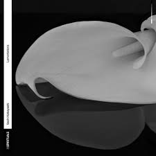 SACHI KOBAYASHI: LAMENTATIONS