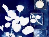 FARMER’S WIFE: FAINT&nbsp;ILLUSIONS