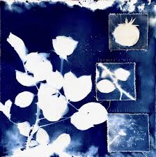 FARMER’S WIFE: FAINT&nbsp;ILLUSIONS