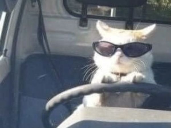 8 minors, 1&nbsp;serious
